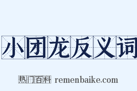 小团龙反义词是什么意思的图片